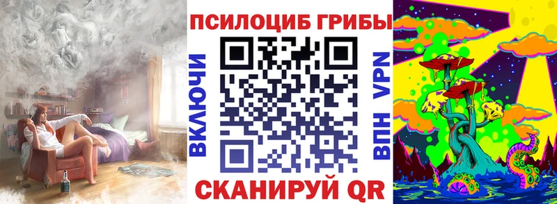 OMG маркетплейс  Арамиль  Псилоцибиновые грибы MAGIC MUSHROOMS  магазин  наркотиков 